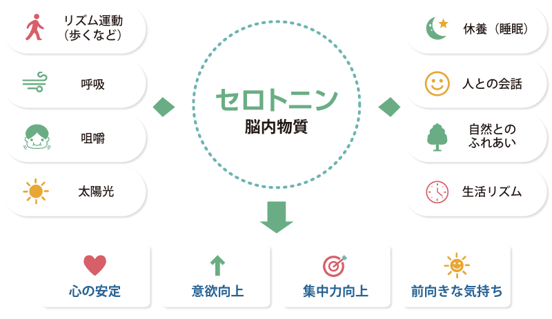 セロトニン脳内物質